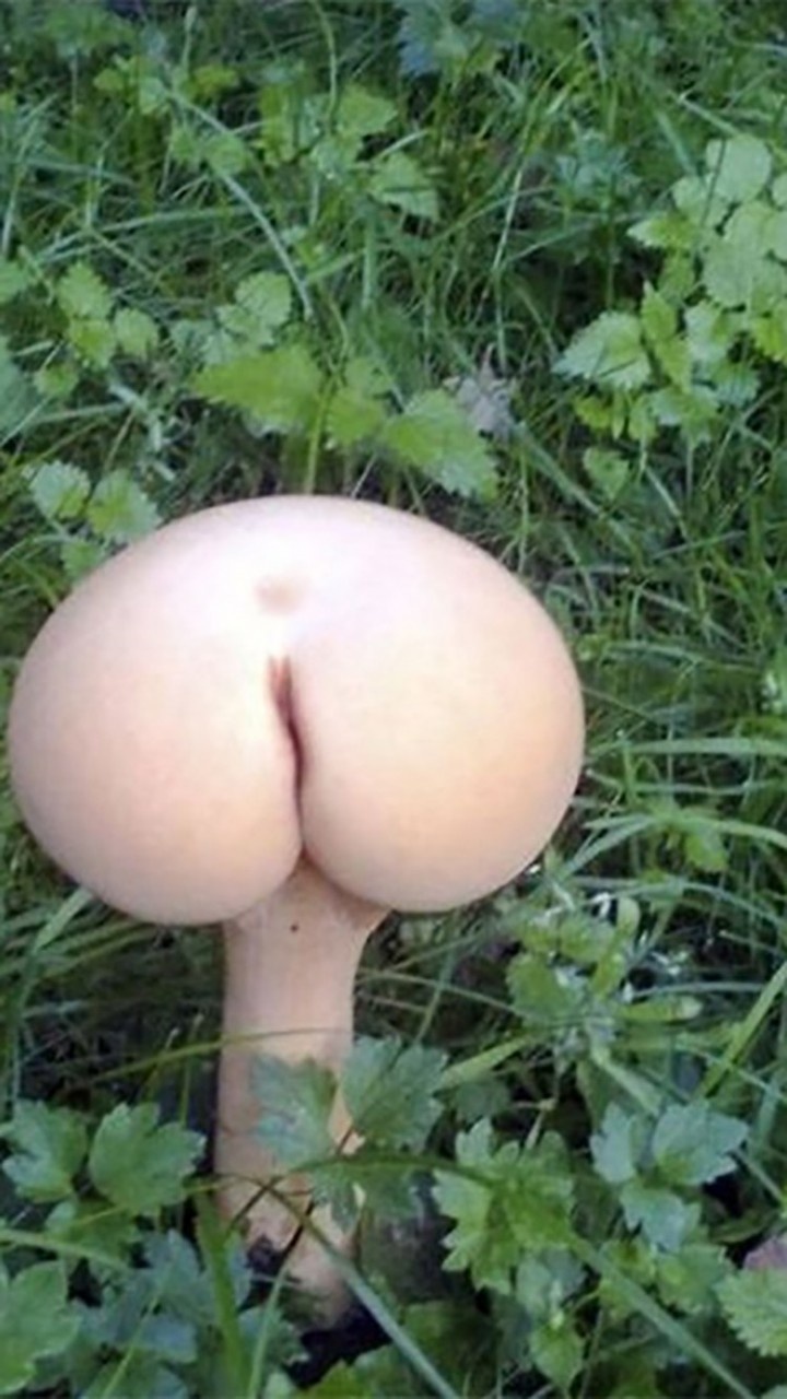 Девушка села вагиной на гриб