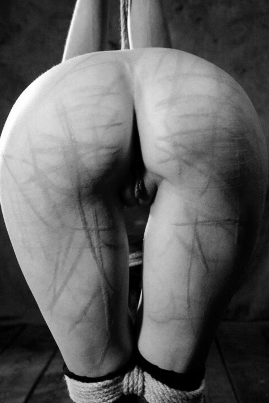 Порка розгами голых женских задниц