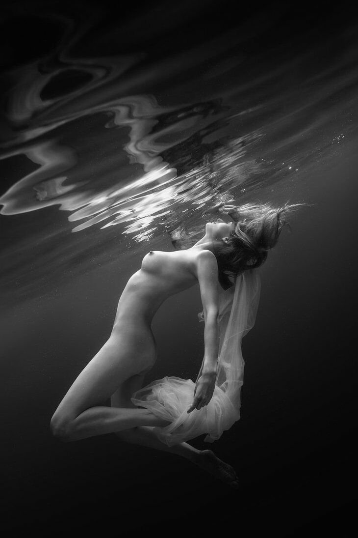 Дмитрий Лаудин