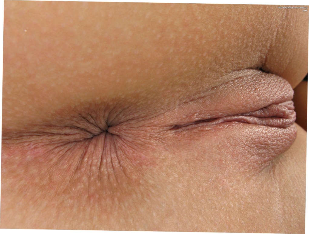 Женские дырочки крупно