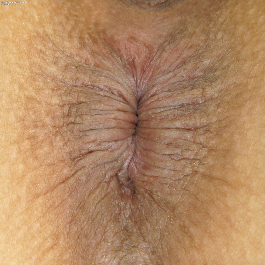 Очень красивые женские анусы