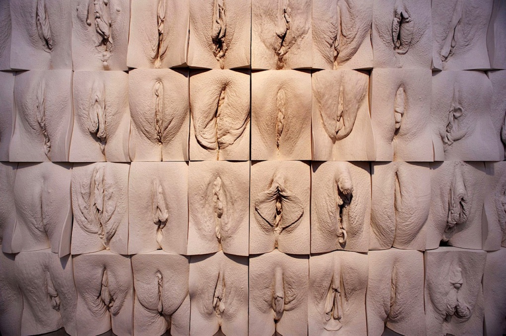 Женские прелести крупно