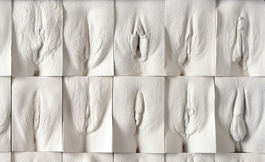 Разновидности женской писечки