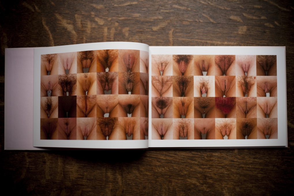 Красивые женские вульвы