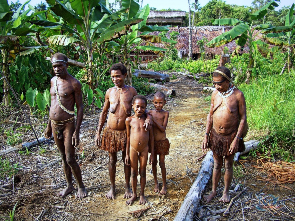 Голые папуаски новой Гвинеи