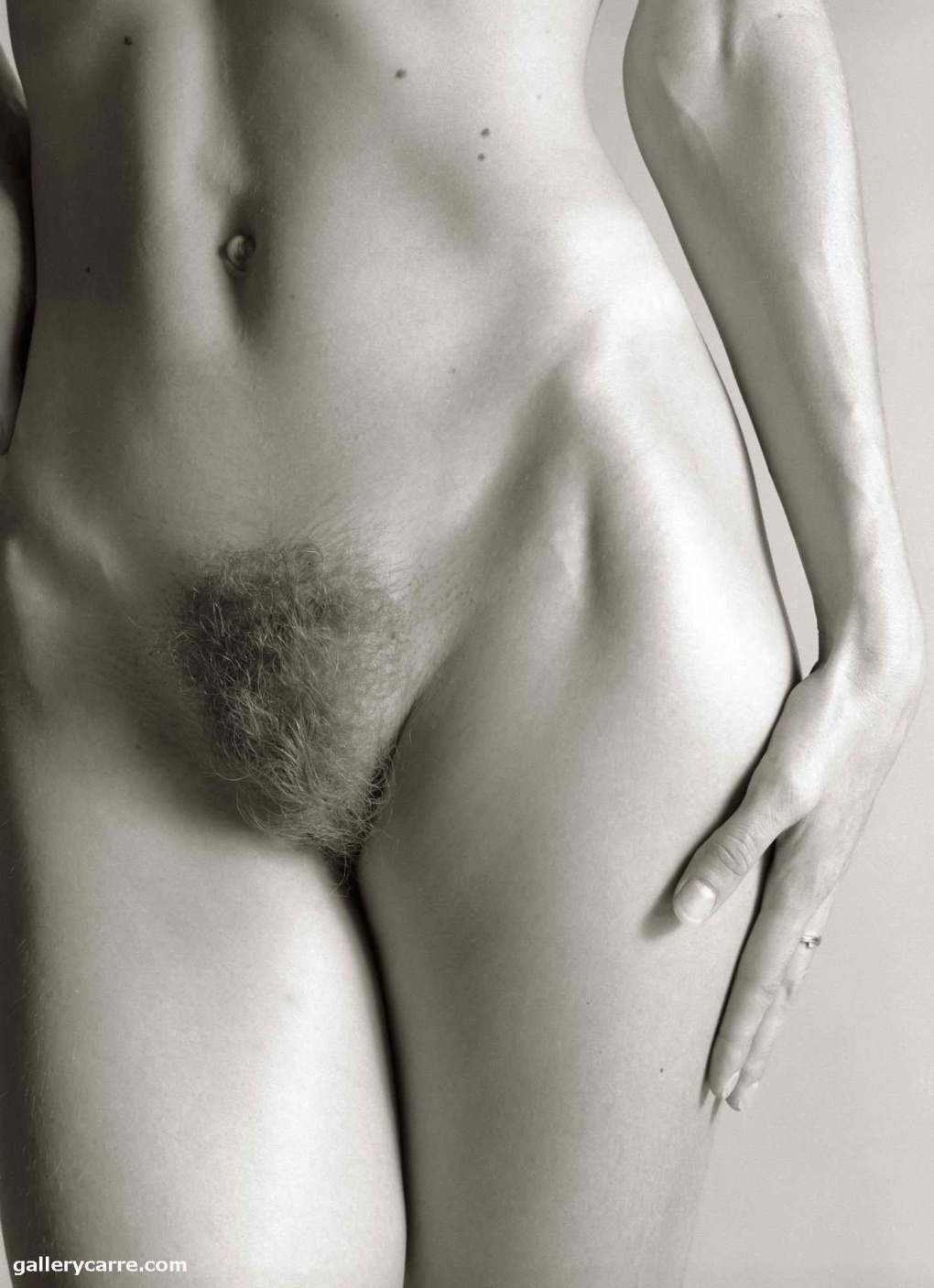 Красивые волосатые женские лобки