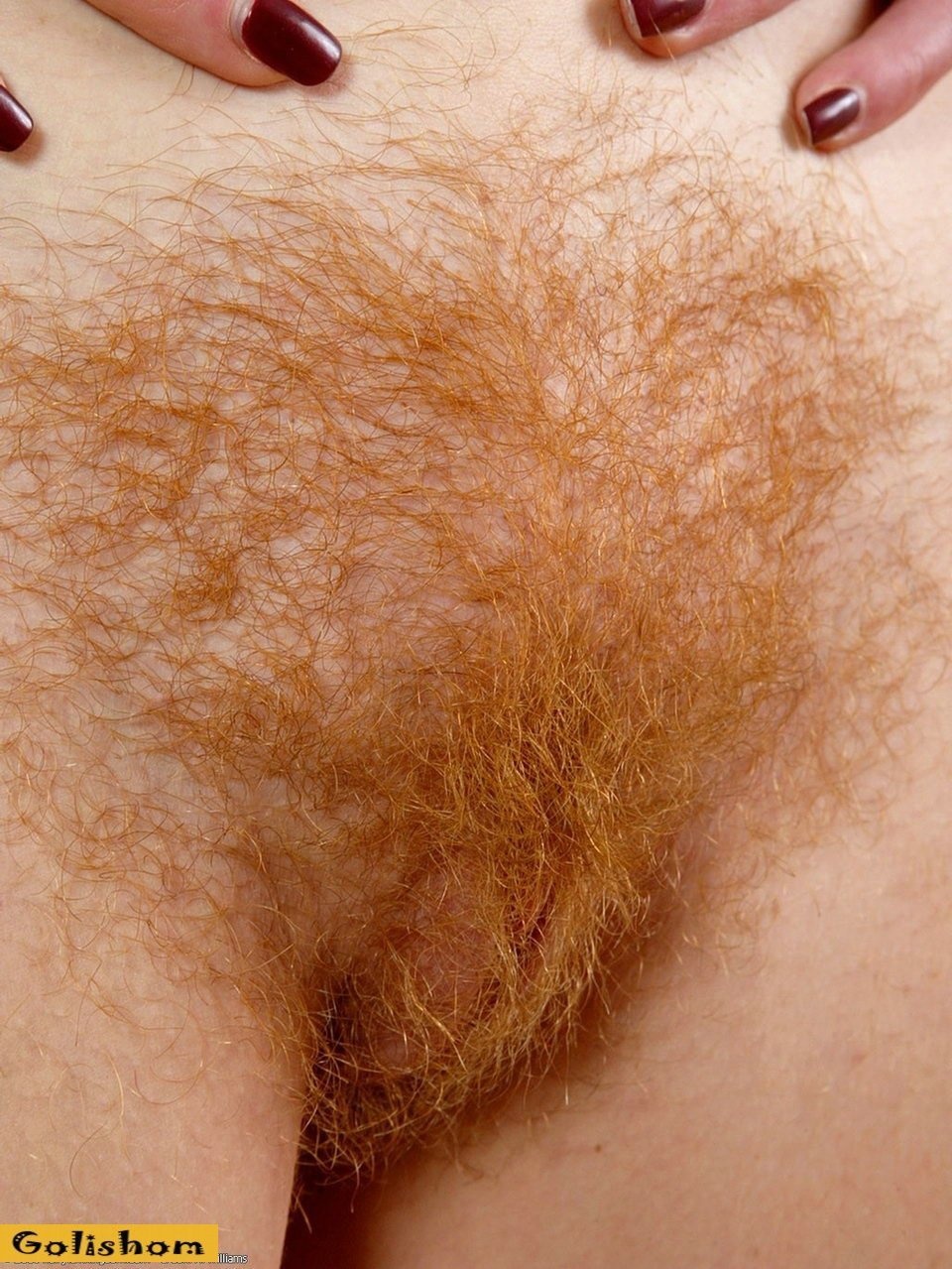 Ариэль Пайпер фавн вагина