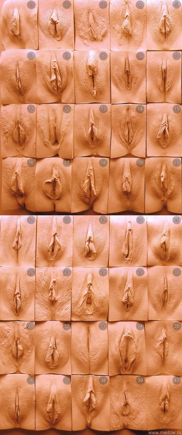 The great Wall of vagina Джейми Маккартни