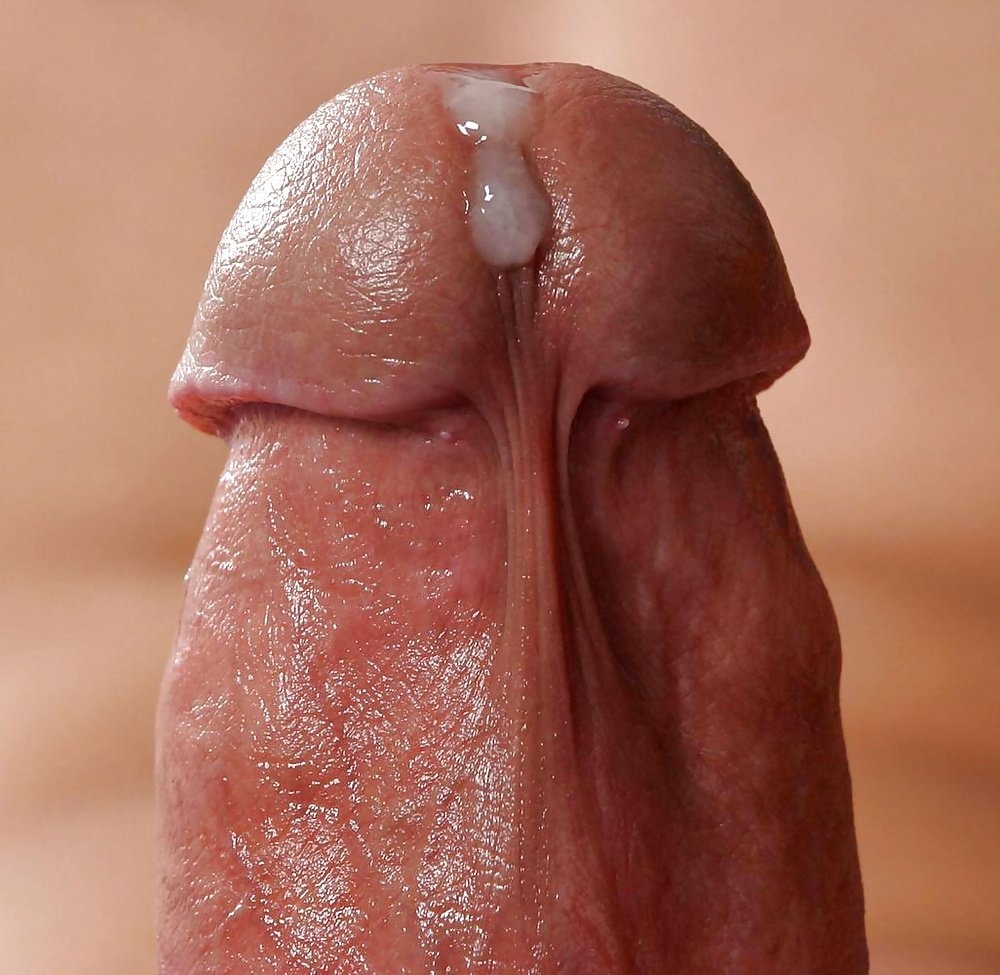 Красивый член крупным планом