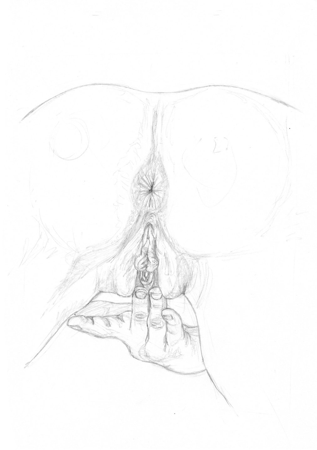 Рисунок женской вагины