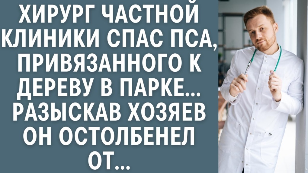 Zelda Series - Part 1 the Sabu