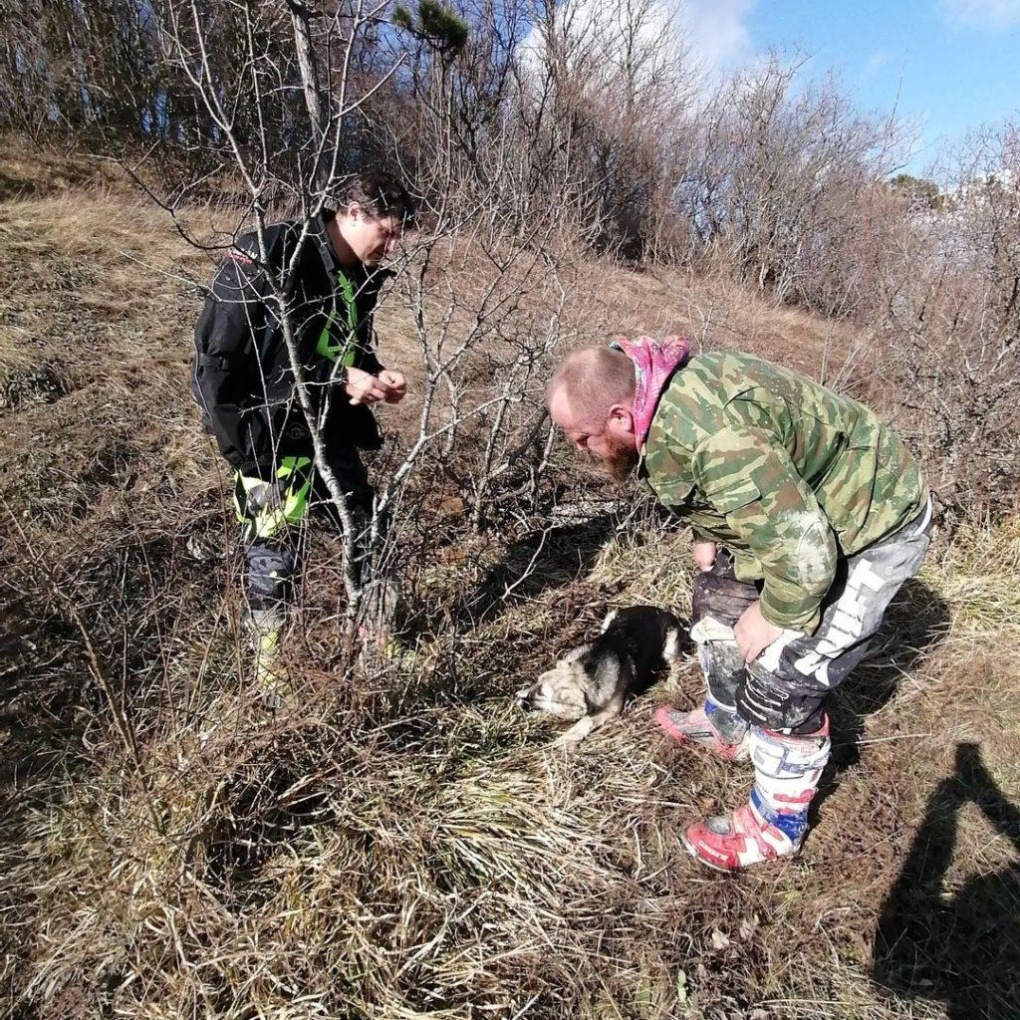 Голые зрелые бдсм на природе