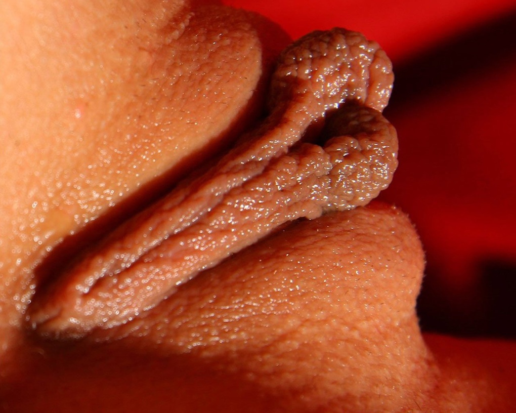 Аккуратные половые губы