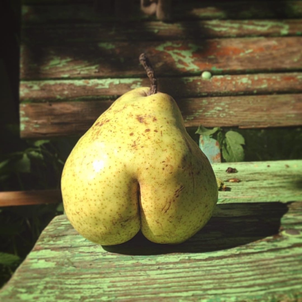 Попка груша