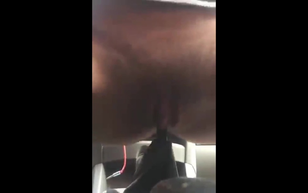 Села киской на ручку КПП