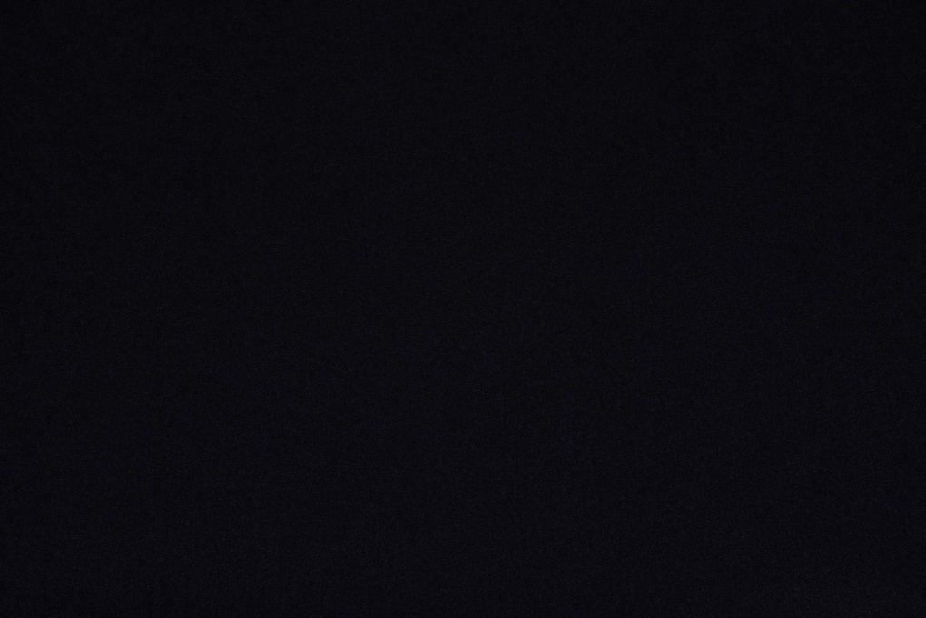 Светлана Бондарчук бикини