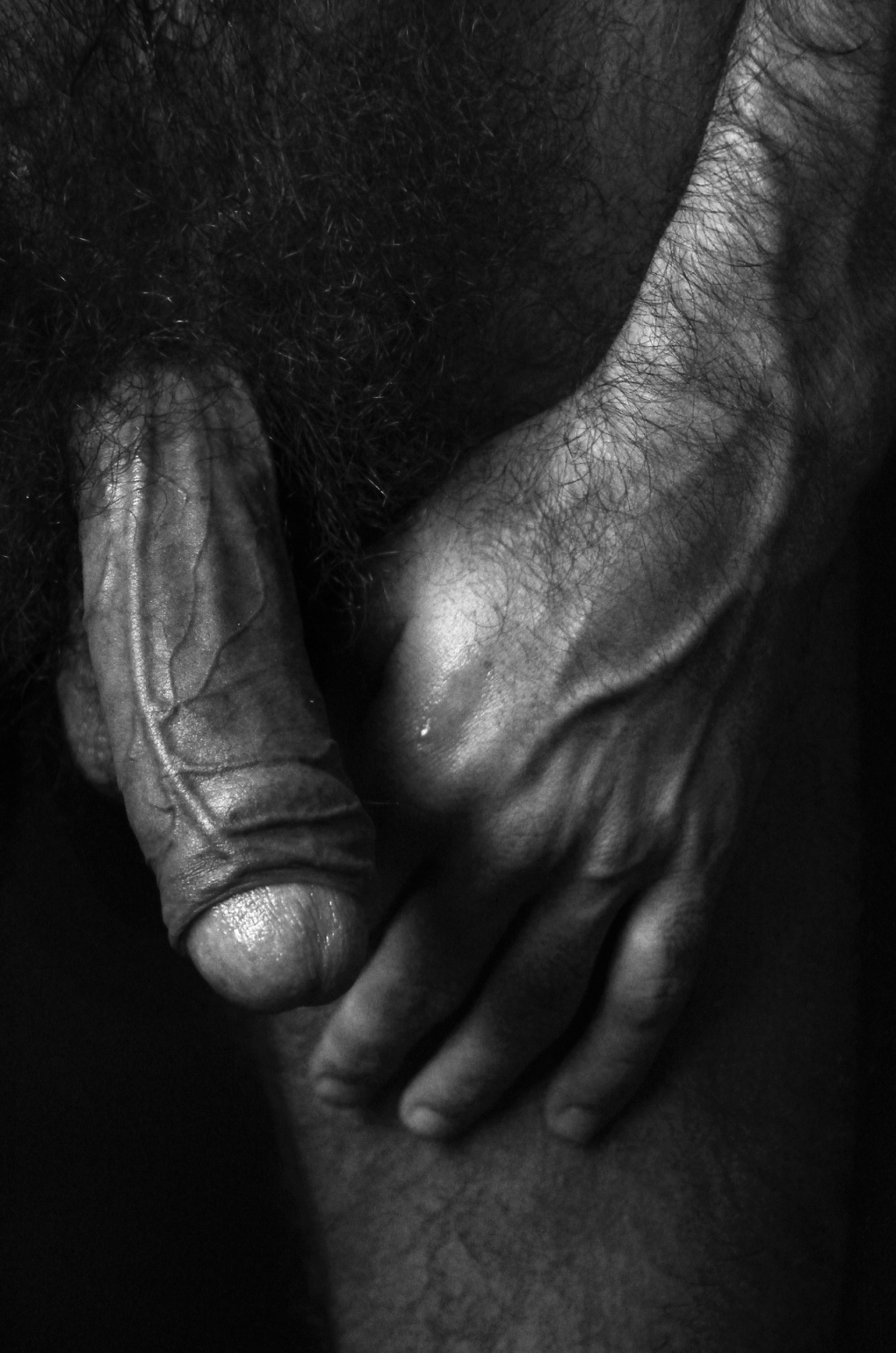 Девушка лижет головку члена