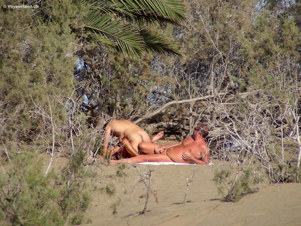 Голые женщины пляж дюны