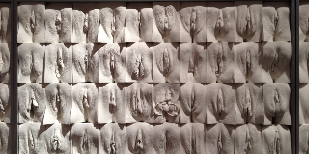 Красивые женские вагины