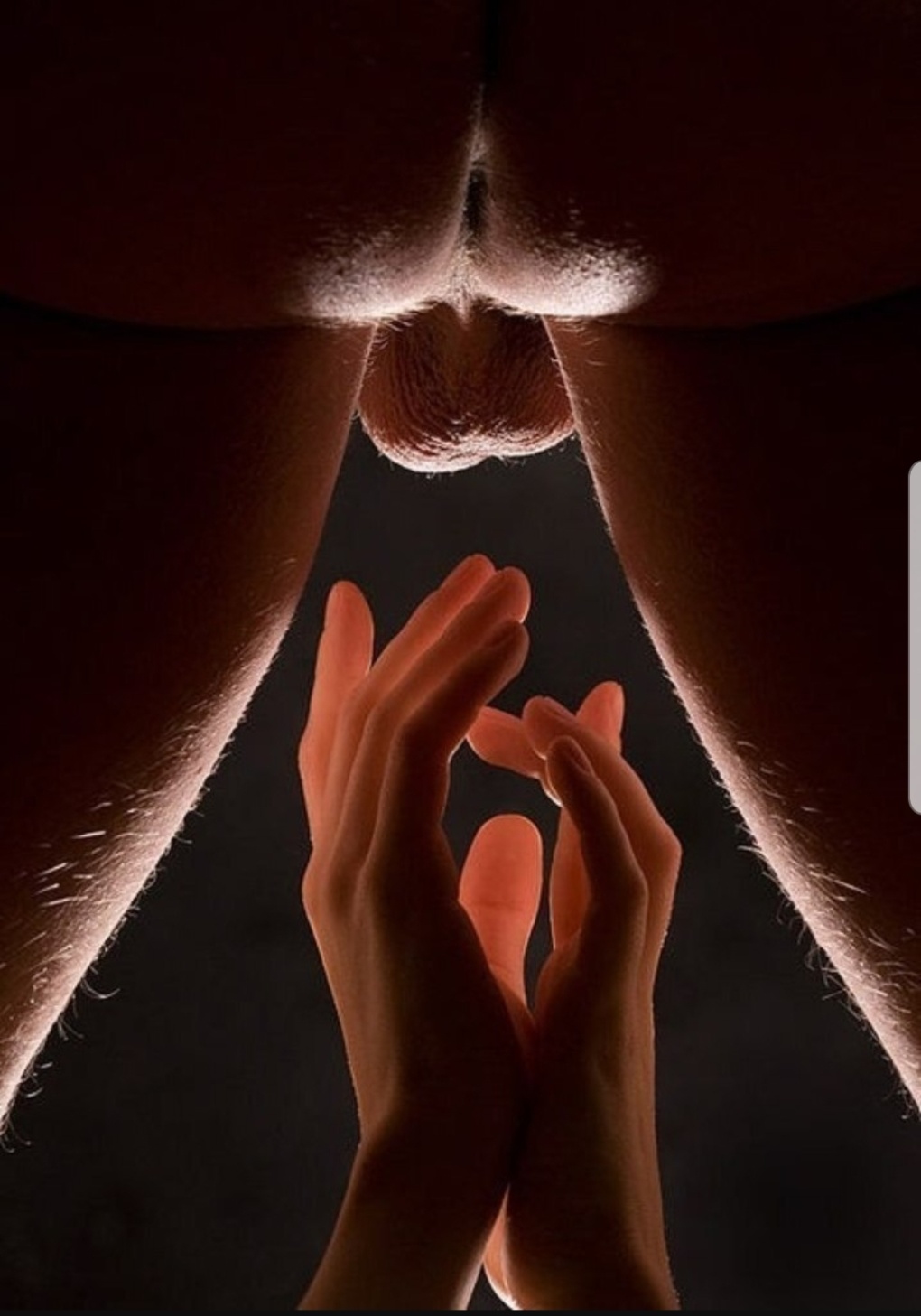 Эротические части тела