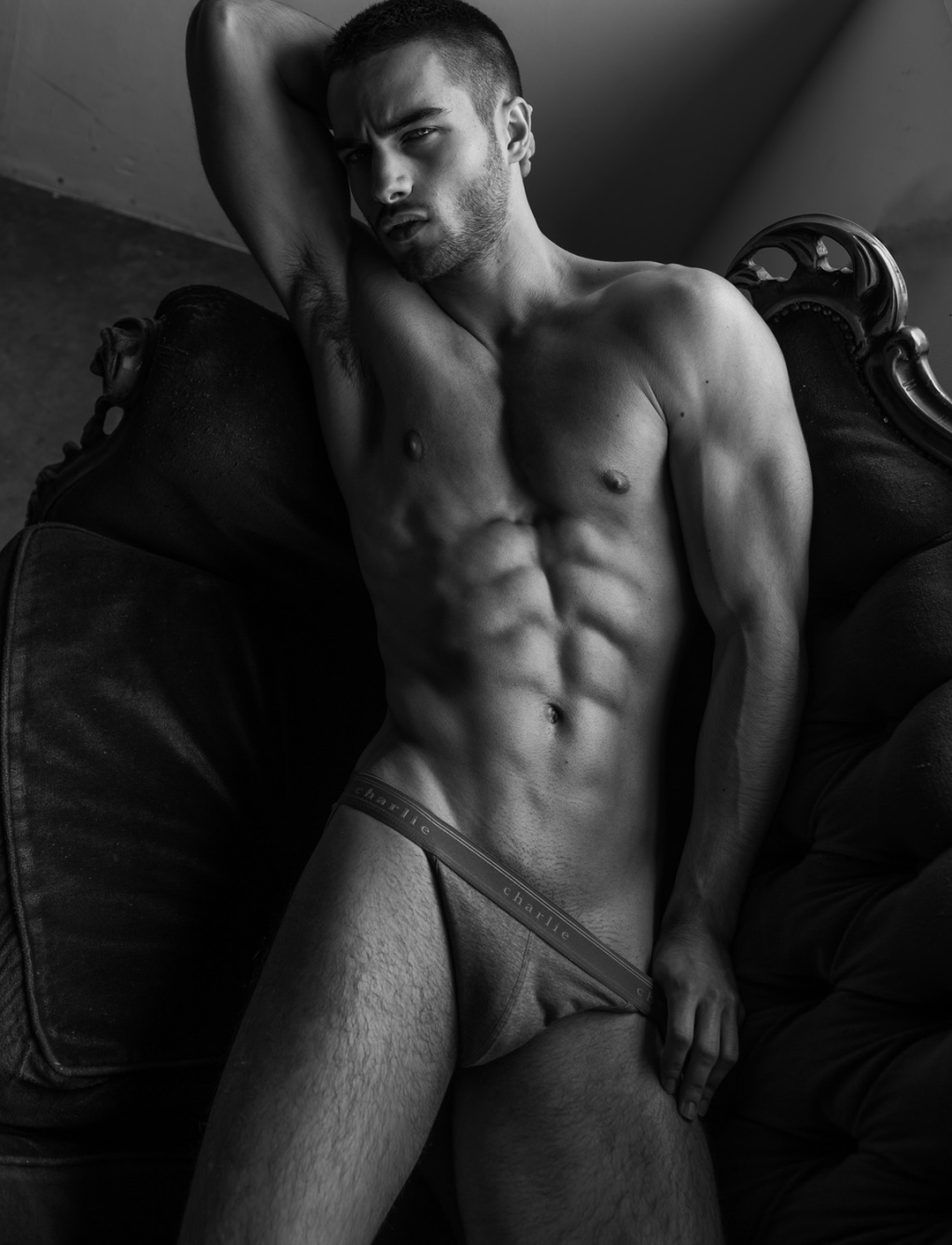 Художественное мужское ню