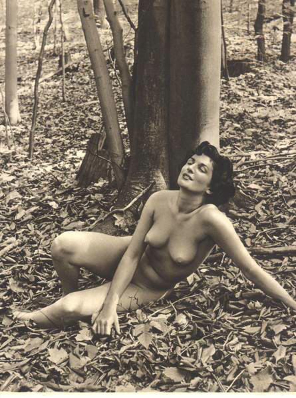 Голые волосатые бабы ретро