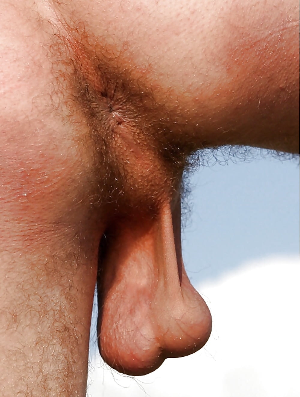 Красивый мужской член с венами