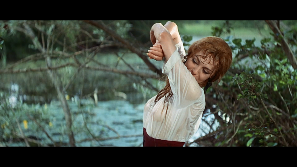 Актриса Мишель Мерсье голая