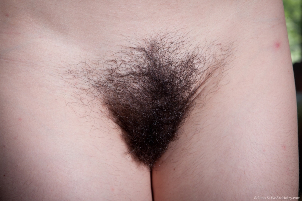 Волосатый треугольник на лобке