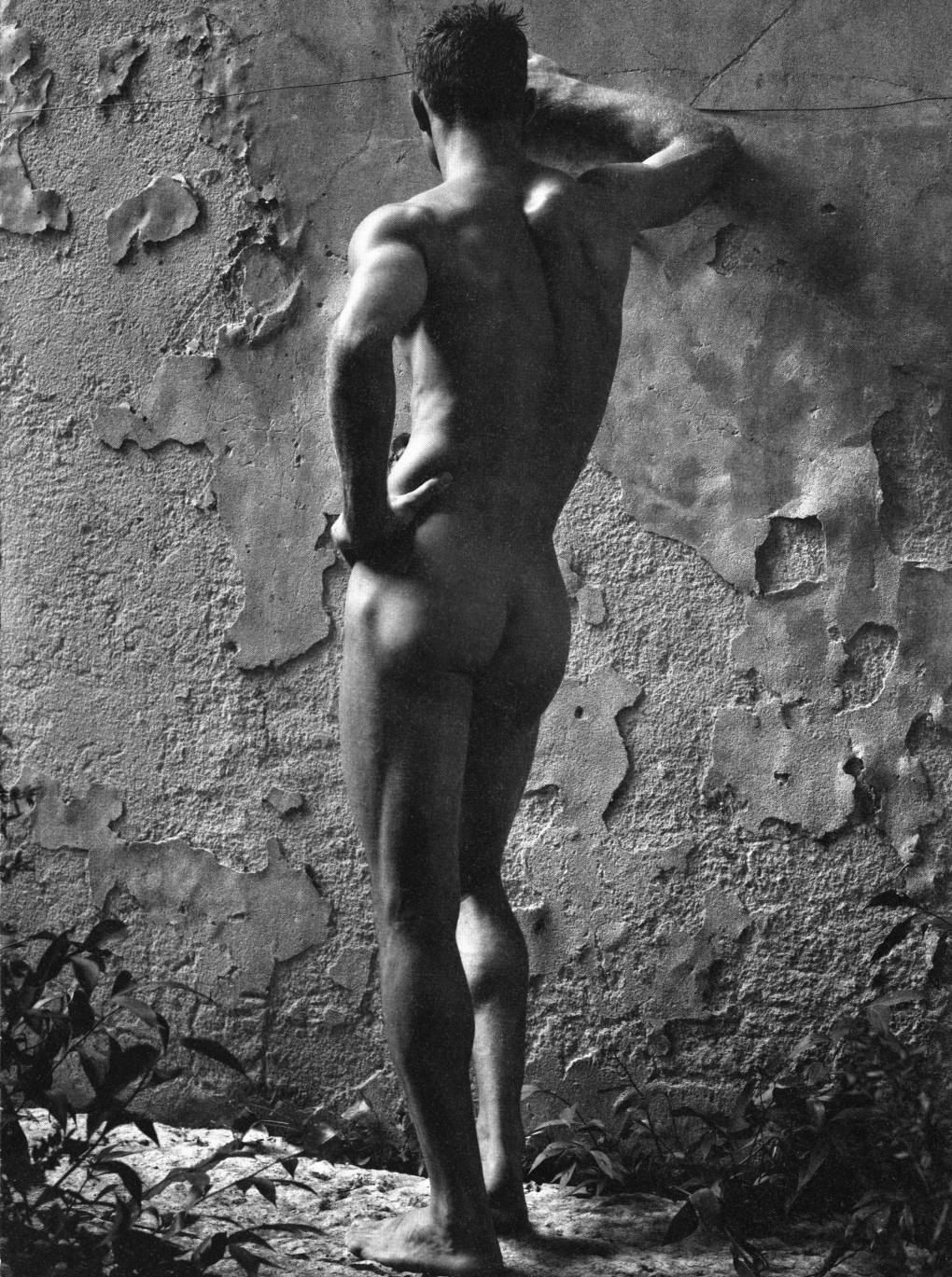 Мужская эротическая фотосессия на природе