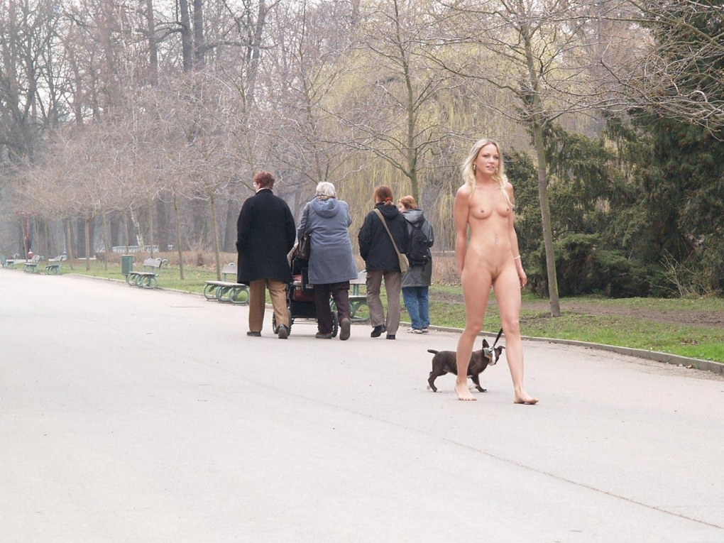 Радикальный эксбиционизм