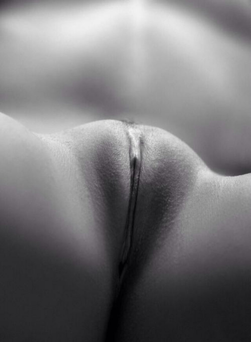 Самые красивые женские лобки