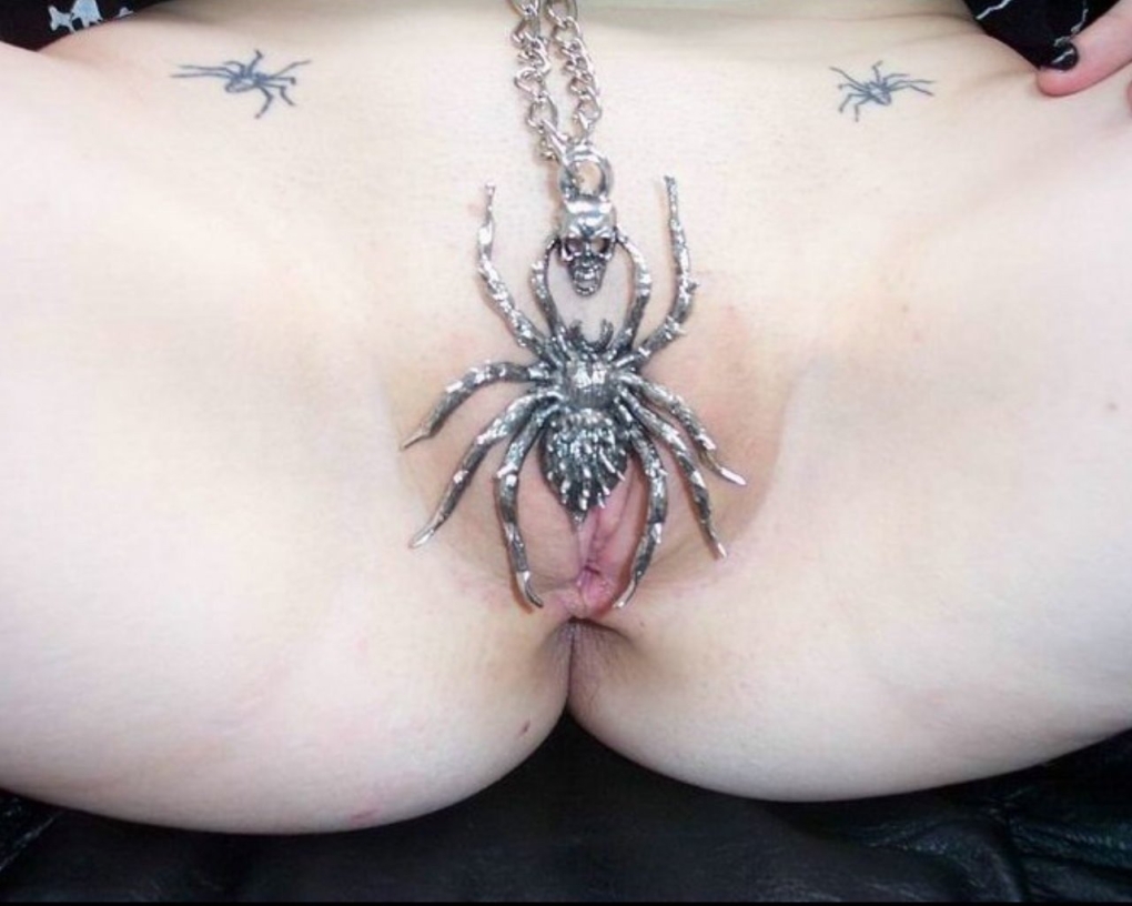 Насекомые на женских гениталиях