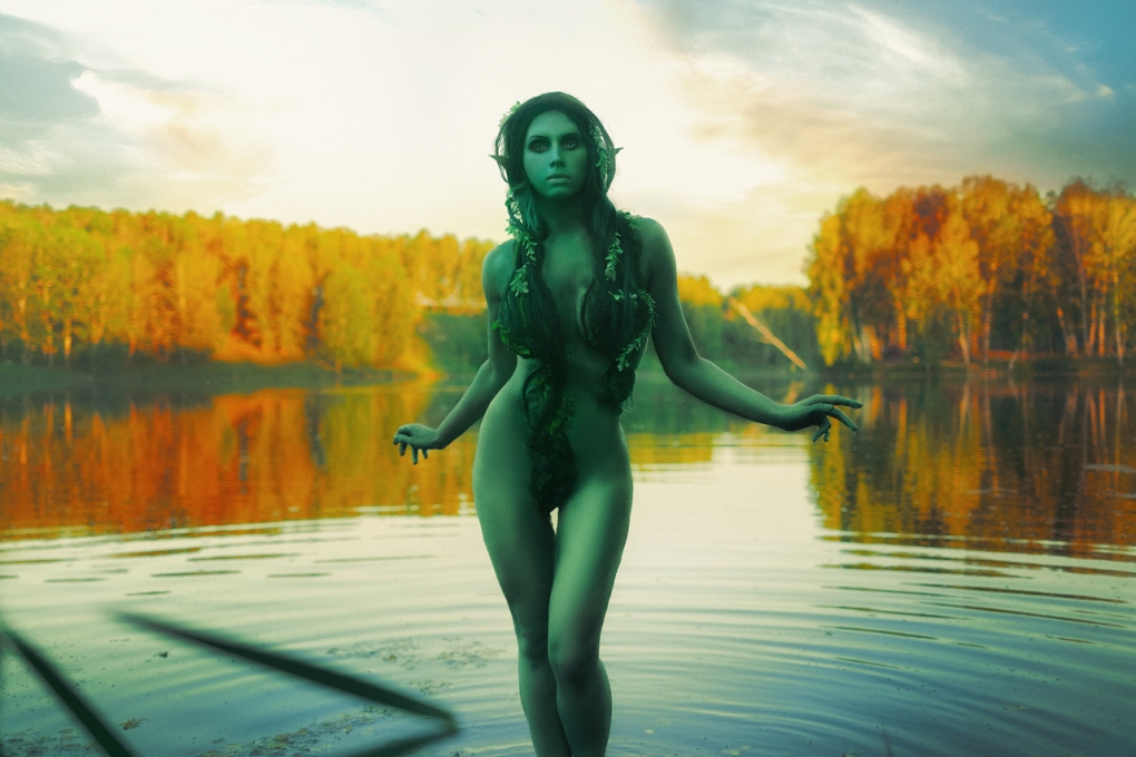 Ведьмак: Владычица озера