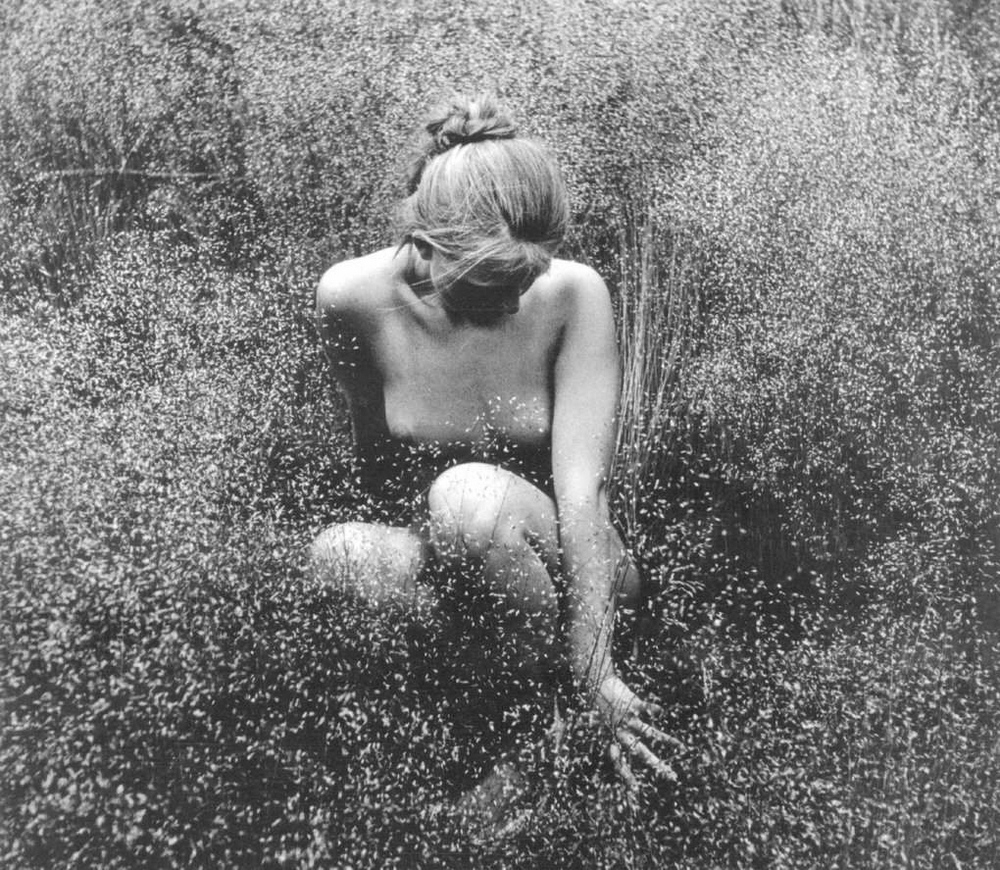 Дихавичюс Римантас Дихавичюс