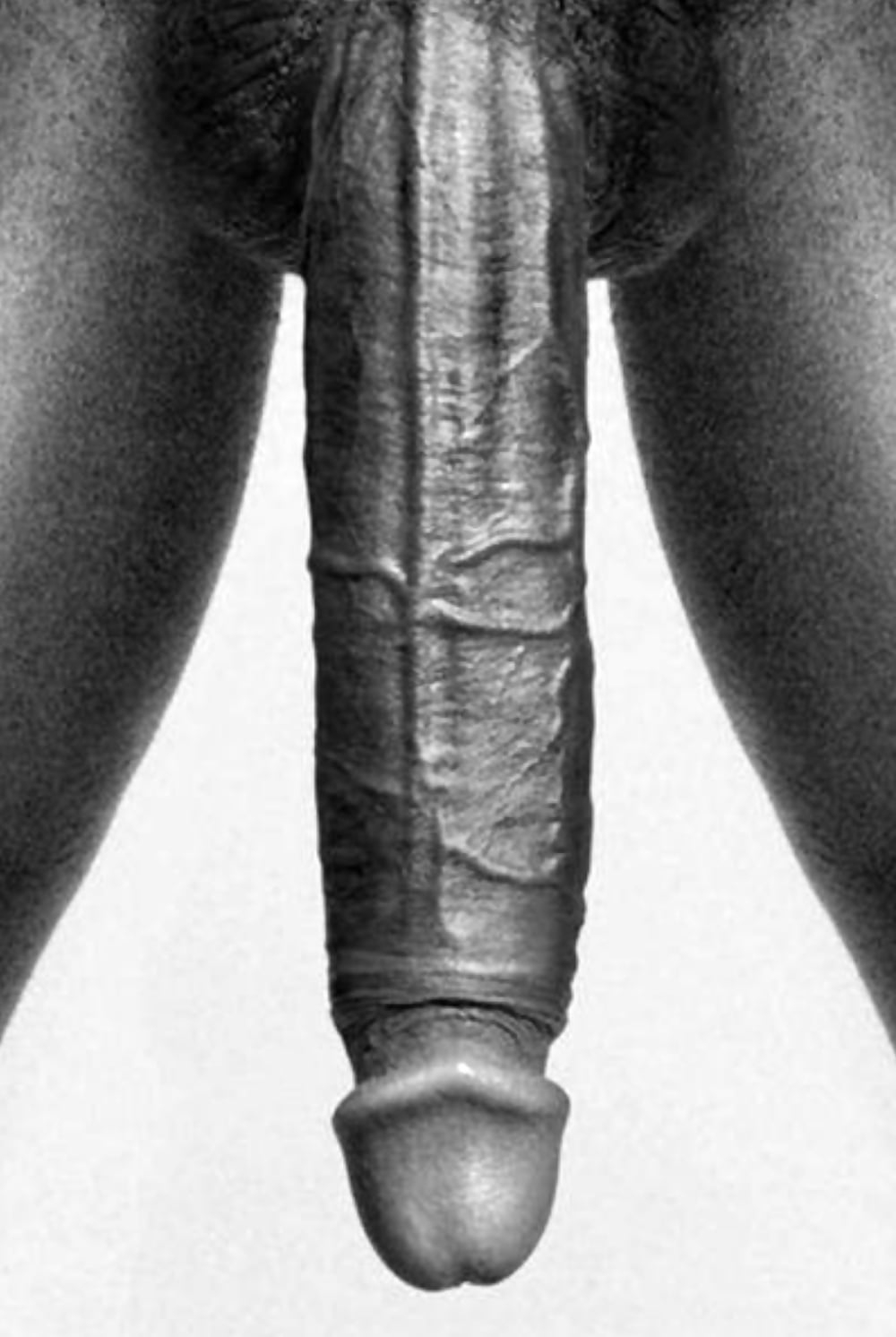 Член в киске крупным планом