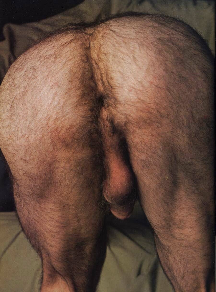 Голая волосатая жопа мужика (80 фото)