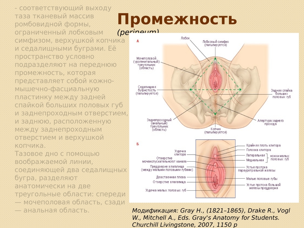Мохнатая промежность у женщин в одежде