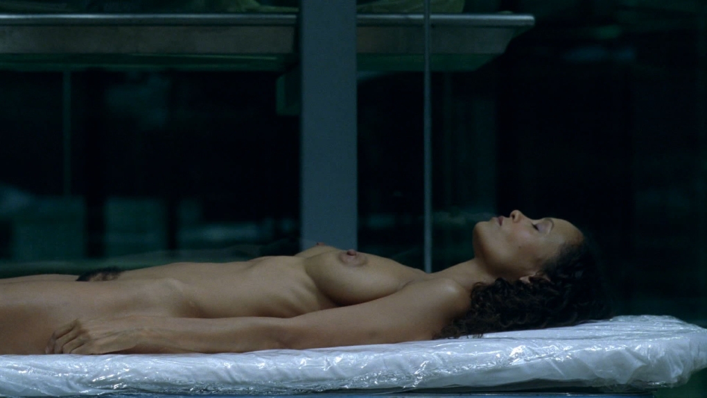 Эван Рэйчел Вуд nude Westworld