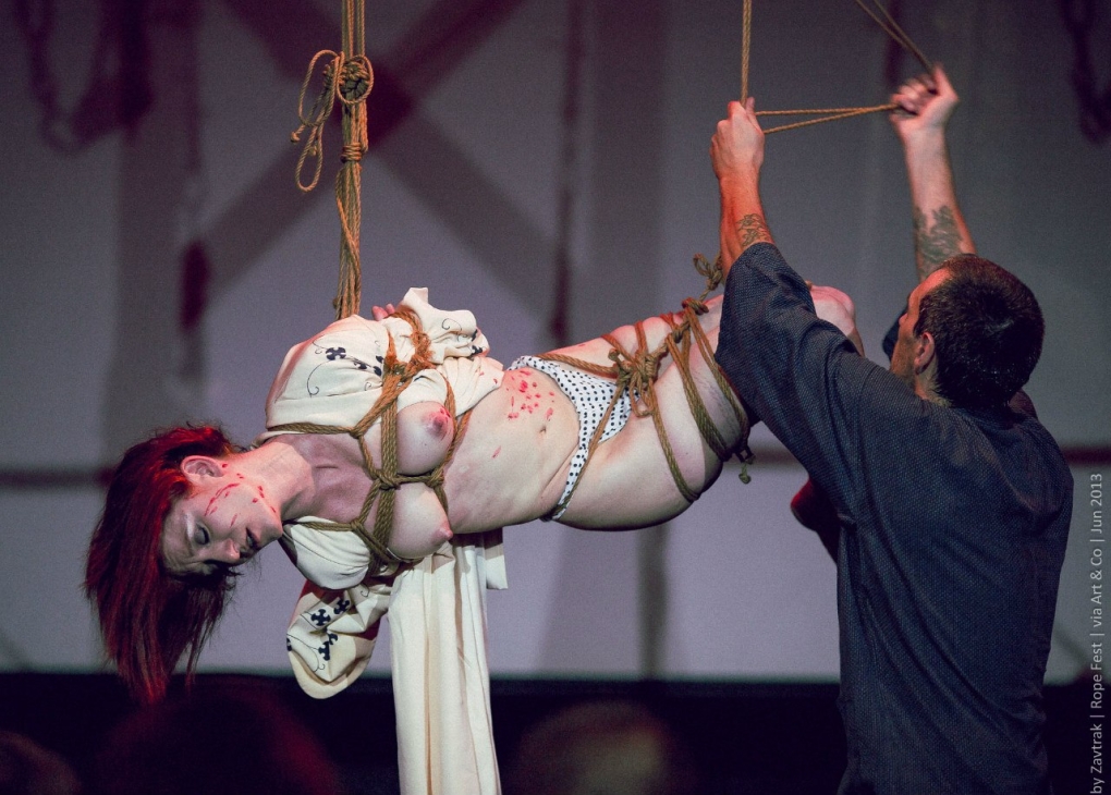 Шибари Борис Мосафир книга