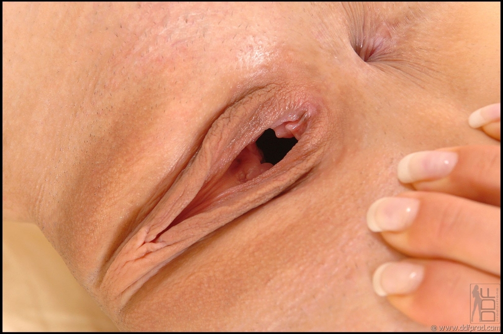 Красивые бритые пизденки