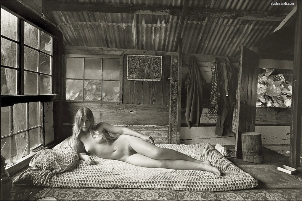 Лагерь хиппи Тейлор