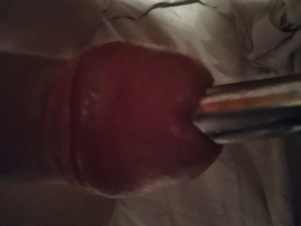 Необычные половые органы