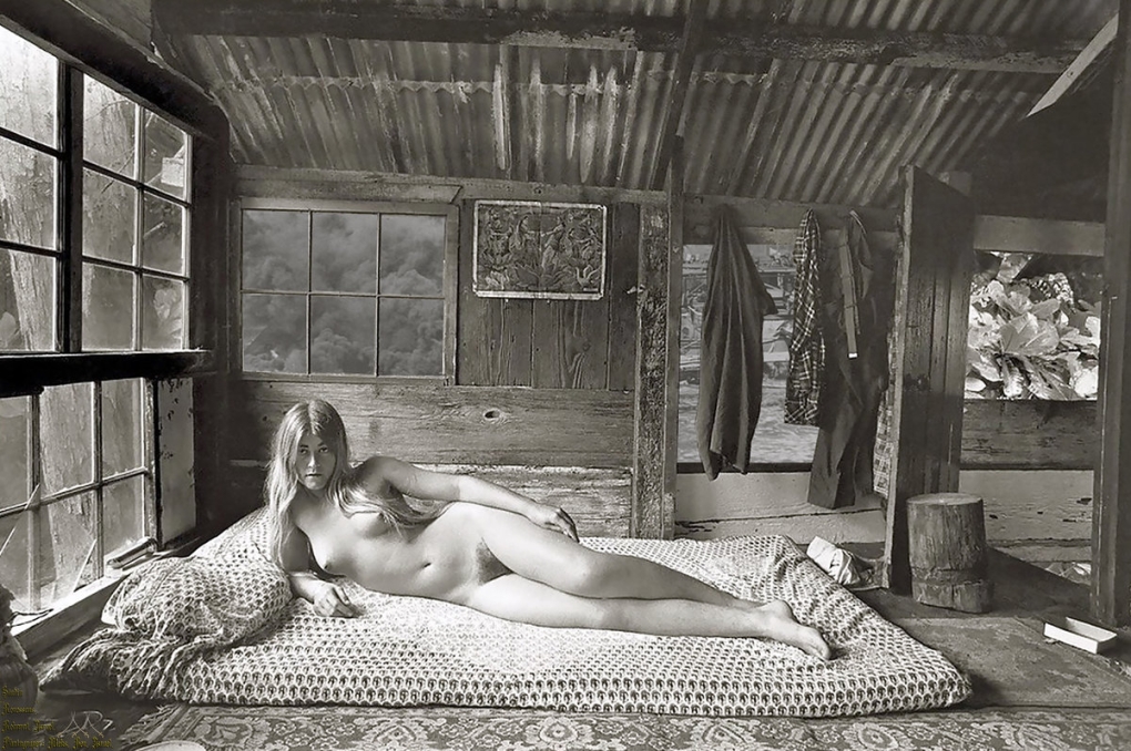 John Wehrheim - "Taylor Camp"