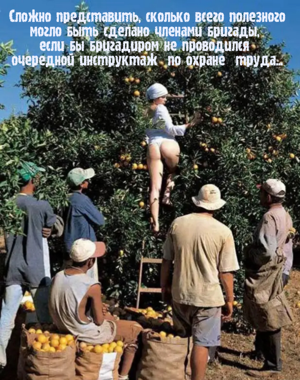 План по сбору урожая под угрозой срыва