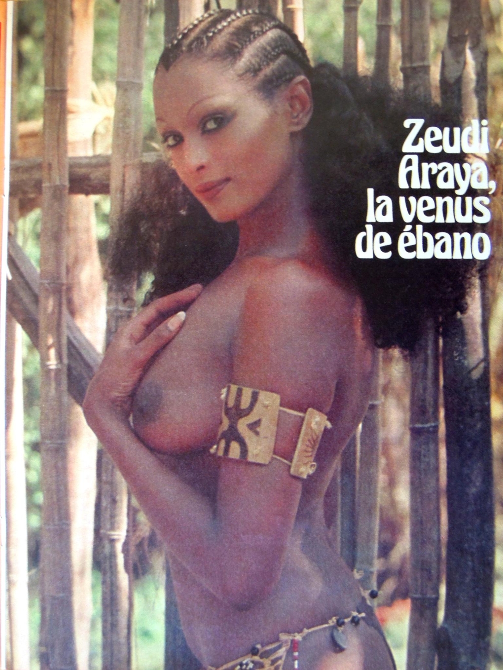 Зеуди Арая 2018