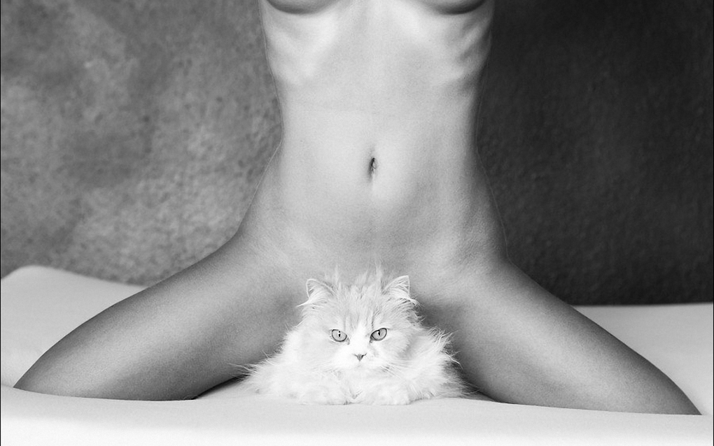 Голые кошечки