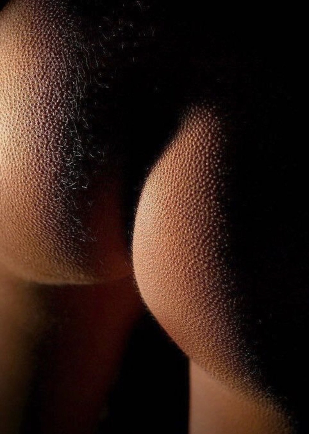 Маленькие упругие попки