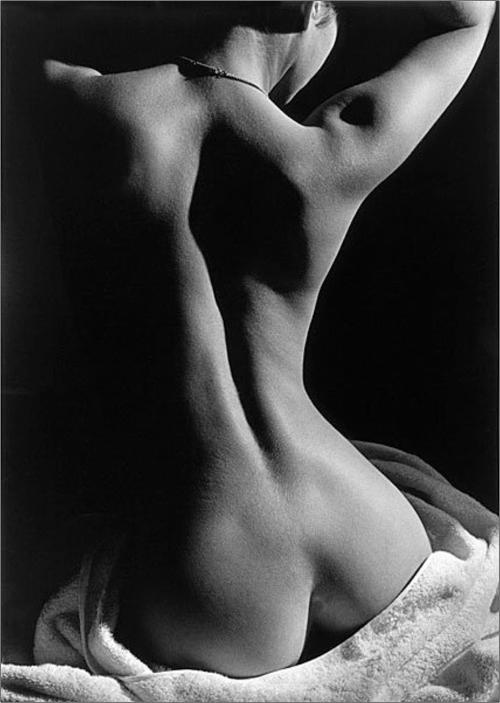 Голые женские попы сверху