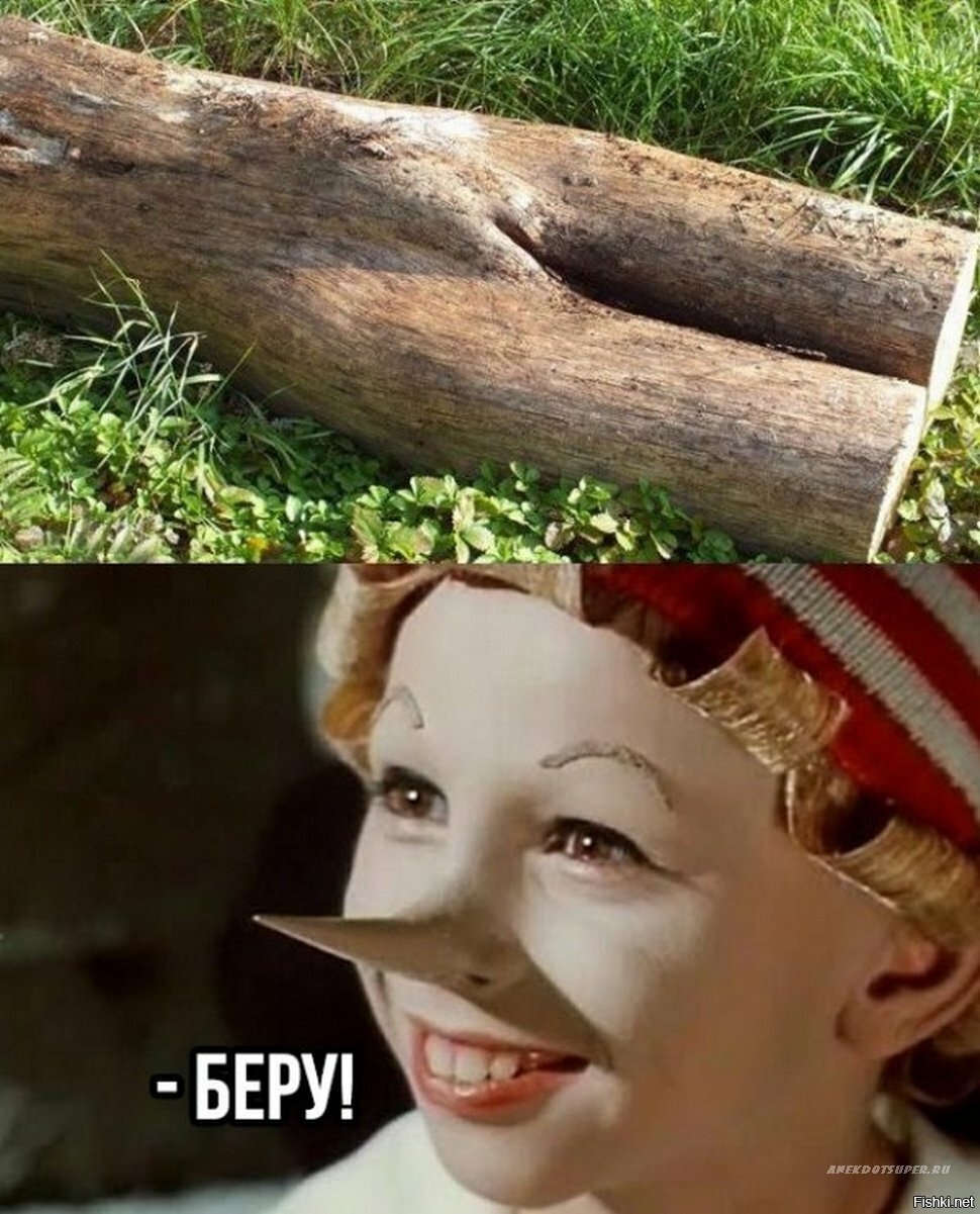 Смешное бревно